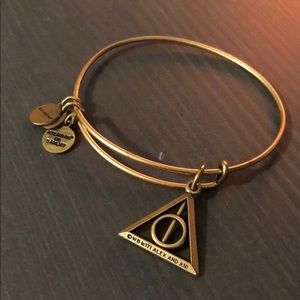 Harry Potter Alex and Ani